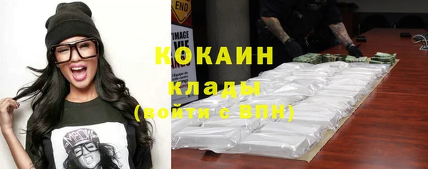 ПСИЛОЦИБИНОВЫЕ ГРИБЫ Магас