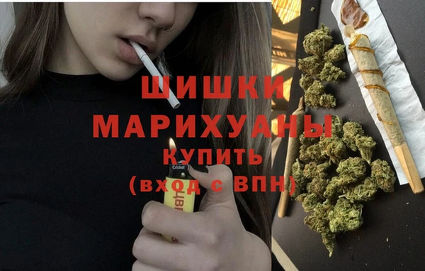 ПСИЛОЦИБИНОВЫЕ ГРИБЫ Магас