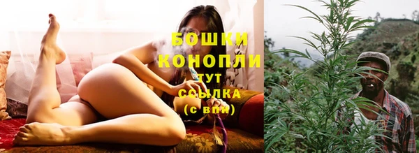 мдпв Мегион