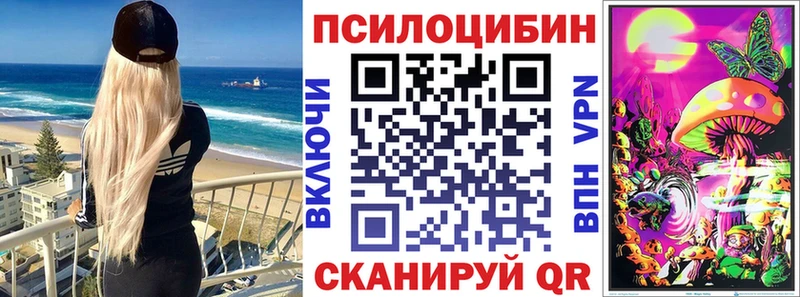 Купить закладки  Дмитровск  Галлюциногенные грибы Magic Shrooms 